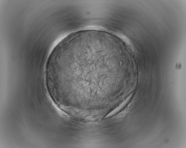 X0000089921430200707201808
