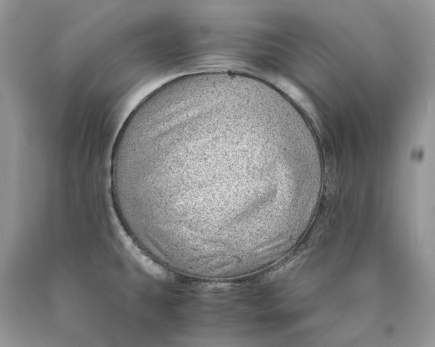 X0000089921431200707201808