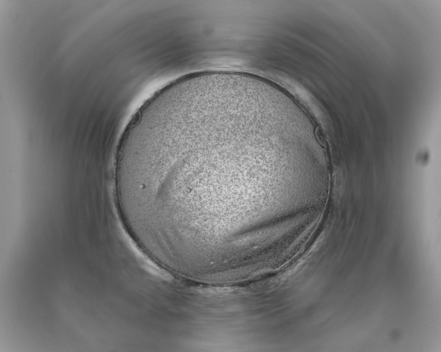 X0000089921432200707201808