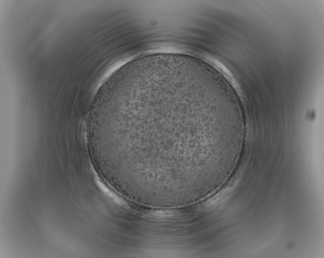X0000089921433200707201808