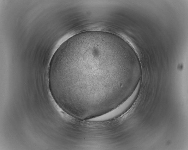 X0000089921434200707201808