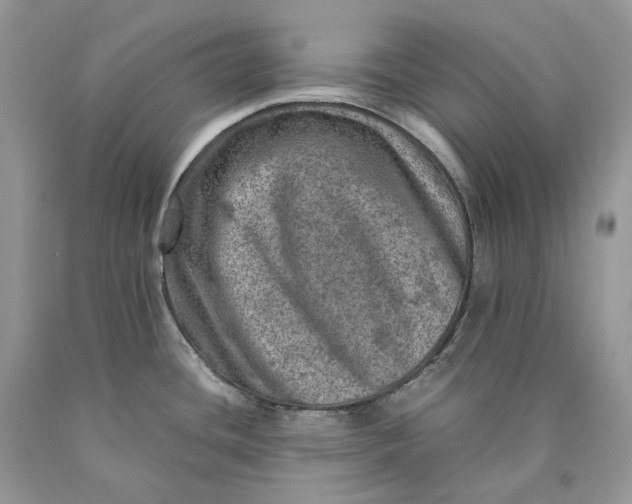 X0000089921436200707201808