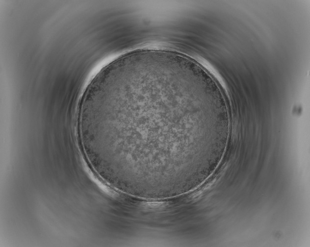 X0000089921437200707201808