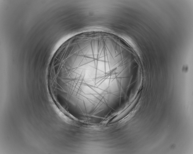 X0000089921438200707201808