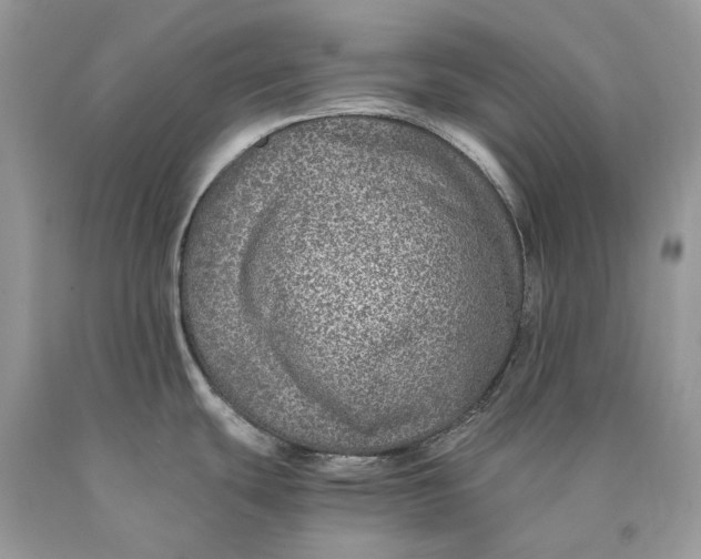 X0000089921439200707201808