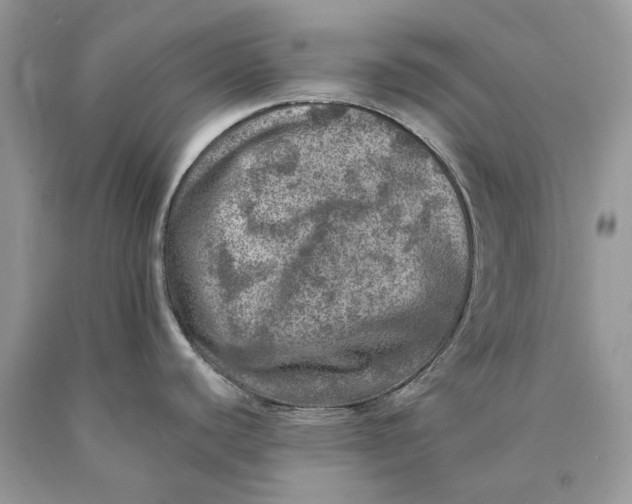 X0000089921440200707201808