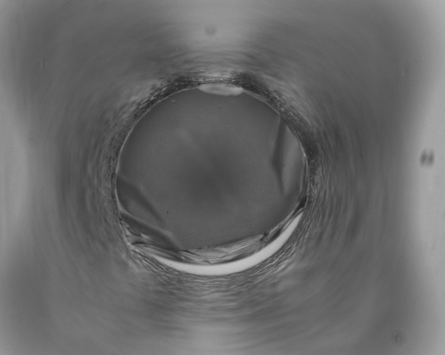 X0000089921441200707201807