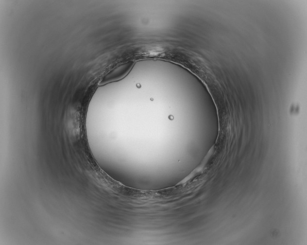 X0000089921442200707201807