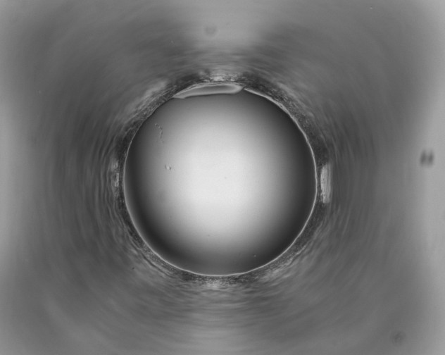 X0000089921443200707201807