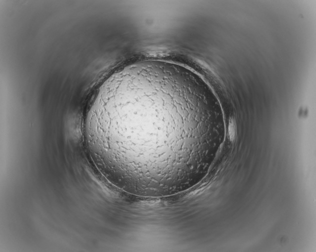 X0000089921444200707201807