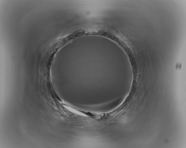 X0000089921445200707201807