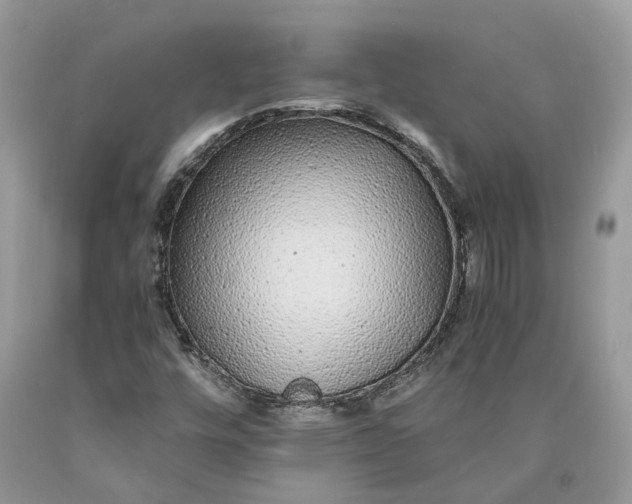 X0000089921448200707201807