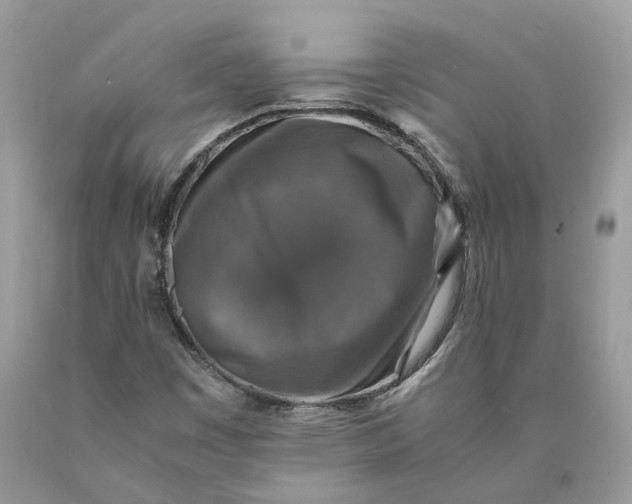 X0000089921449200707201807