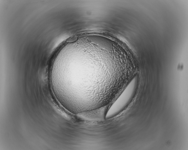 X0000089921450200707201807