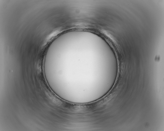X0000089921451200707201807