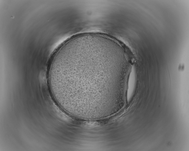 X0000089921452200707201807