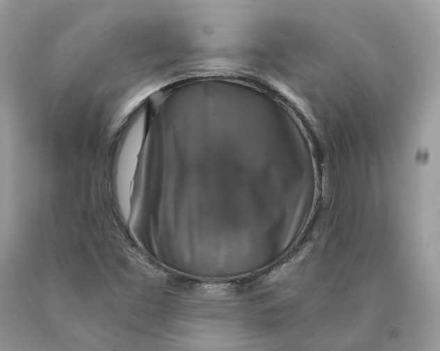 X0000089921453200707201807