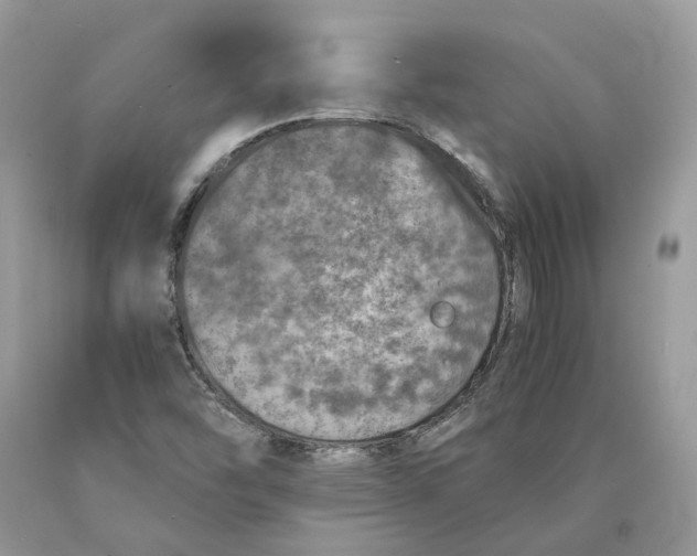 X0000089921454200707201807