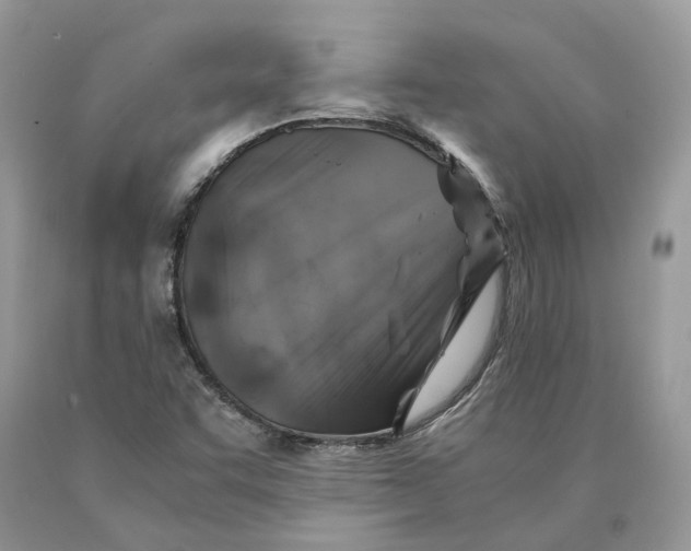 X0000089921455200707201807