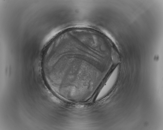 X0000089921456200707201807