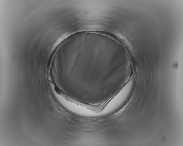 X0000089921457200707201807