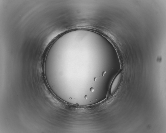 X0000089921458200707201807