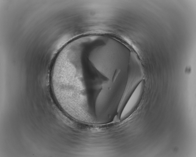 X0000089921459200707201807
