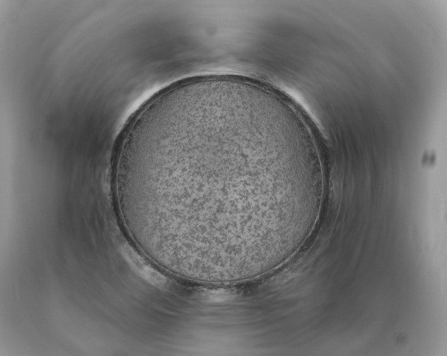X0000089921460200707201807