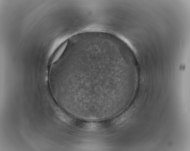 X0000089921461200707201807