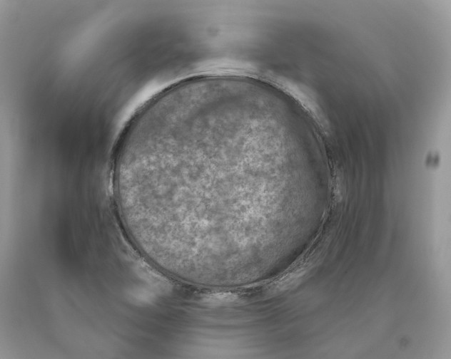 X0000089921462200707201807