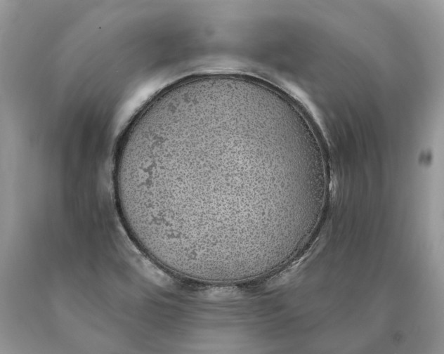 X0000089921464200707201807