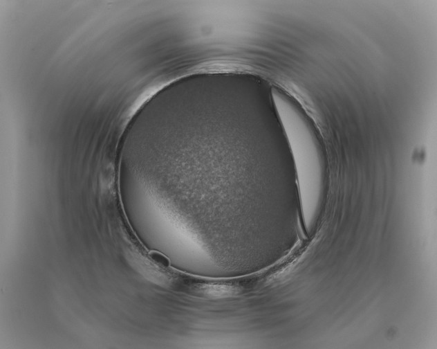 X0000089921465200707201807