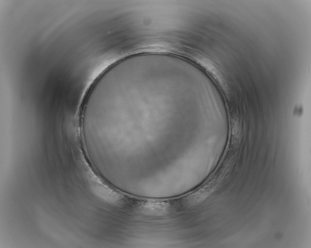 X0000089921466200707201807