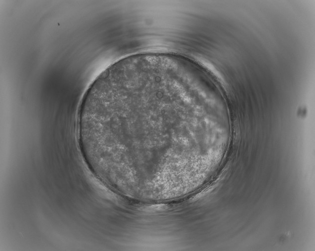 X0000089921467200707201807