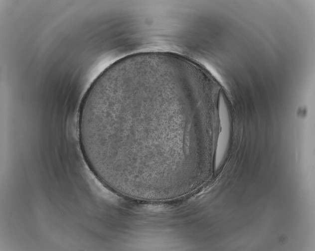 X0000089921468200707201807