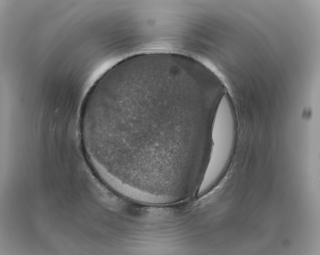 X0000089921469200707201807