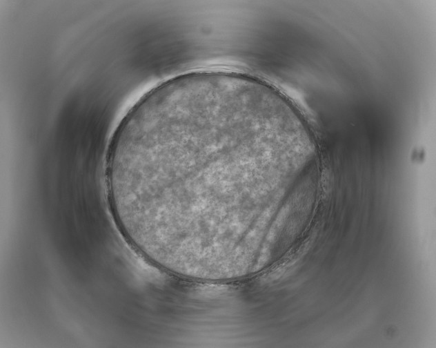 X0000089921470200707201807