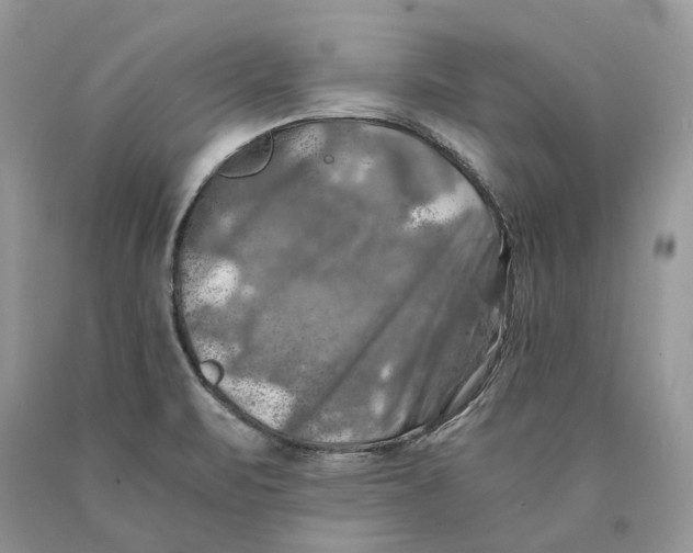 X0000089921471200707201807