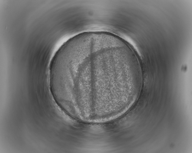 X0000089921472200707201807