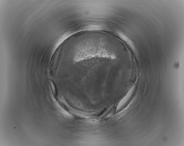 X0000089921473200707201807