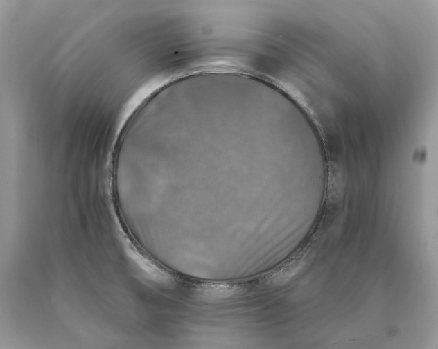 X0000089921474200707201807