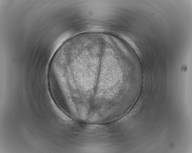 X0000089921475200707201807