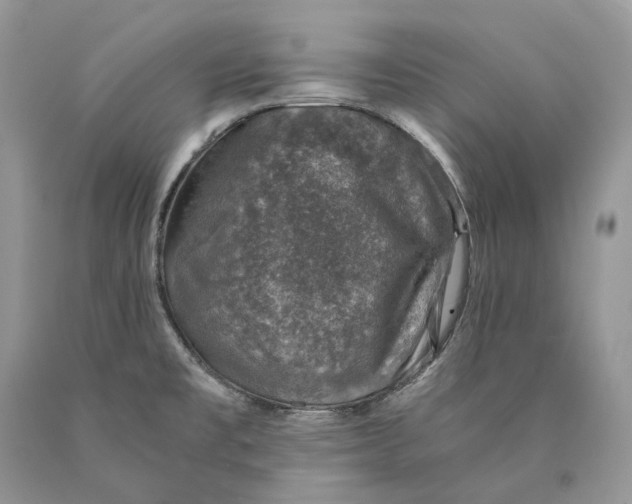X0000089921477200707201807