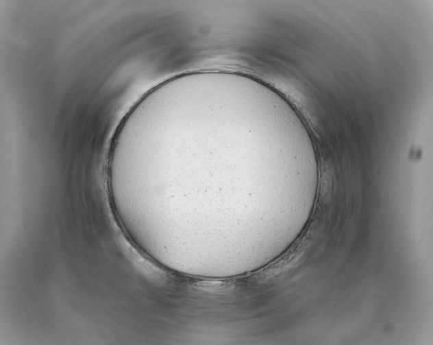 X0000089921478200707201807