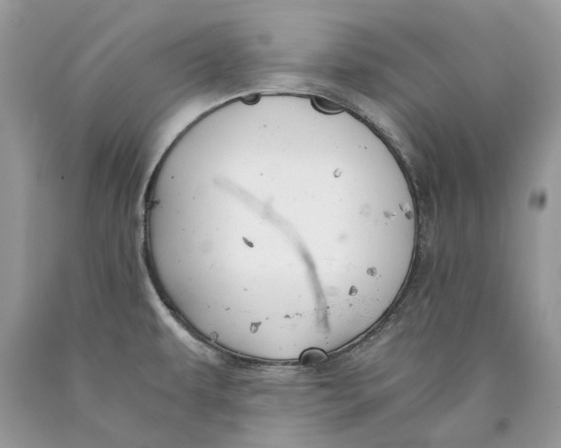 X0000089921479200707201807