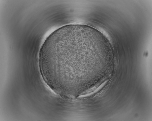 X0000089921480200707201807