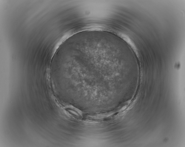X0000089921481200707201807