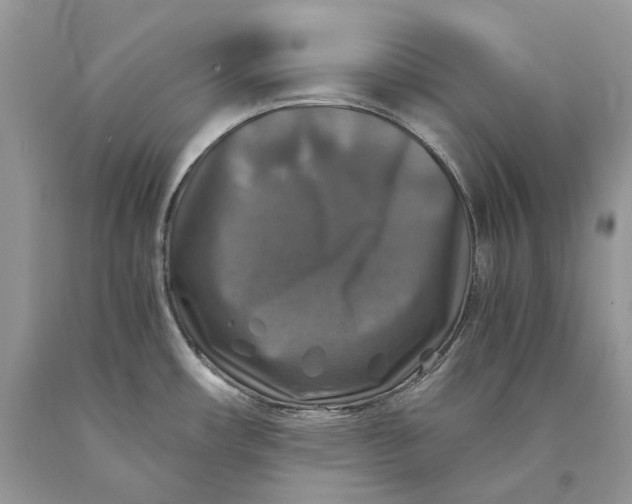X0000089921482200707201807