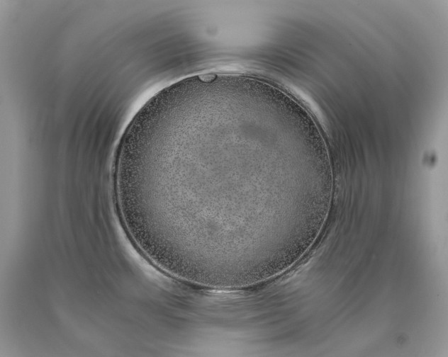 X0000089921483200707201807