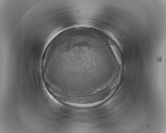 X0000089921484200707201807